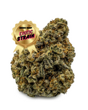 Watermelon Drop - THCa Flower